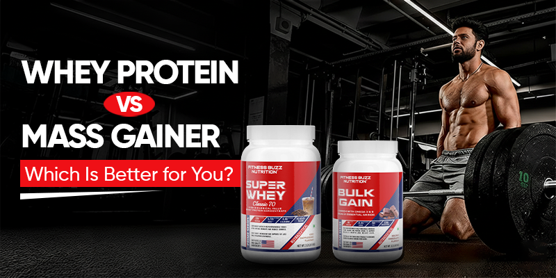 Whey Protein vs Mass Gainer