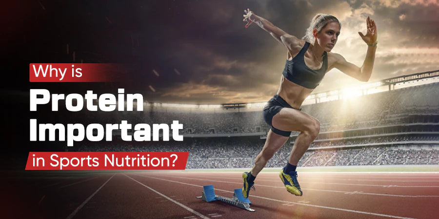 Protein In Sports Nutrition